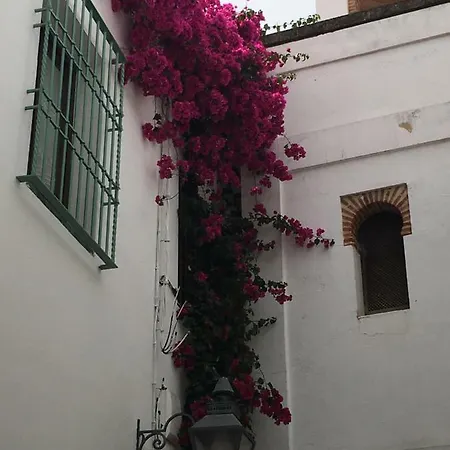 La Hoguera Cordoba