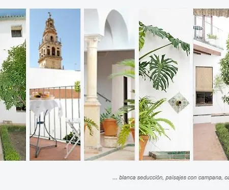 La Hoguera