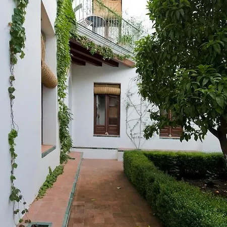 La Hoguera